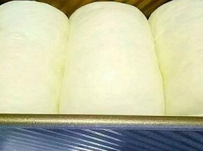 发酵至八分满，放上杏仁片，不放也可以，刷不刷蛋液看自己喜欢，我没刷