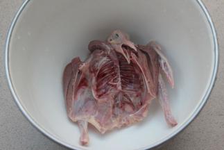 乳鸽一只洗净。