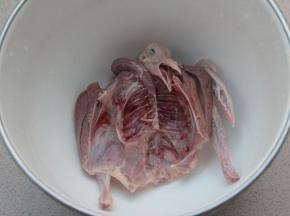 乳鸽一只洗净。