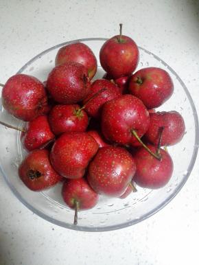 山楂用盐水泡10分钟后洗净