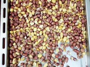 将生花生米洗净放盘子内铺平，入炸锅烤20分钟，中间取出晃一下。烤好后，去皮，稍微压碎。