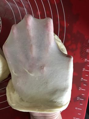 揉至完全扩展阶段。