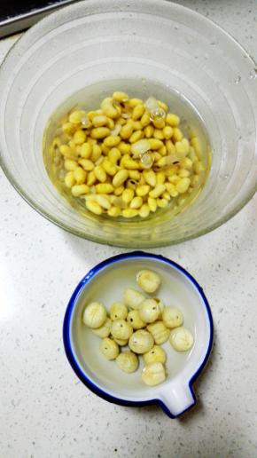 黄豆和莲子提前一晚洗净泡发