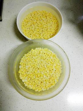 期间要经常洗净换水，我平均2.5小时换一次