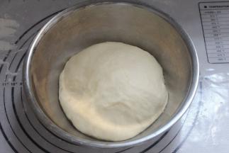 膨胀发酵至两倍大。