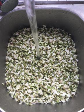 1.槐花浸泡冲洗干净，去掉花梗，这个过程有点麻烦，要耐心哦；