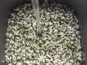 1.槐花浸泡冲洗干净，去掉花梗，这个过程有点麻烦，要耐心哦；