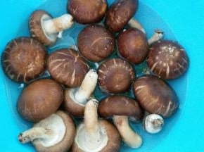 开始洗香菇，洗干净，挤干水份后，去把