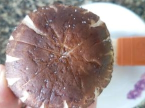 香菇内外侧刷上薄薄的玉米油，抹上适量盐，不要太多了