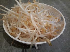 还买了绿豆芽200克