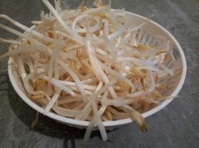 还买了绿豆芽200克