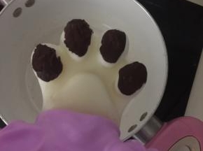 取出凝固的冰棒，给熊脚抹上巧克力，小朋友抹得不好看不要嫌弃哦，哈哈