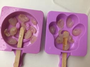 将龙眼肉去壳去核撕成小块后放入模具中