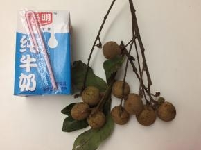 准备好材料