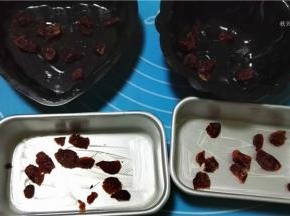 在模具内铺好蔓越莓干