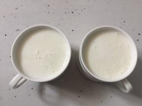 然后将煮好的牛奶布丁倒入杯里，刚好倒两杯满