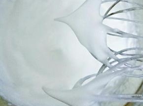 蛋白液中加入几滴柠檬汁，打出鱼眼泡加入三分之一白砂糖，继续打至细腻泡加入三分之一白砂糖，继续打发至稍有纹路加入剩余的白砂糖，打发至湿性发泡，即提起打蛋器，最前端蛋白下垂