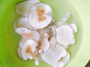 海底椰和芡实提前浸泡一个小时