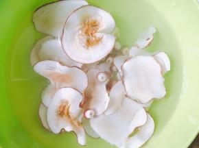 海底椰和芡实提前浸泡一个小时