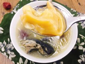 舀起一块花胶，满满胶原蛋白