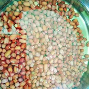 红豆提前清水浸泡10小时，泡至发软。（期间要换3次清水）