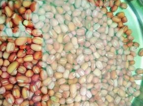 红豆提前清水浸泡10小时，泡至发软。（期间要换3次清水）