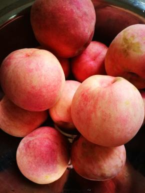 我的是陕西脆桃