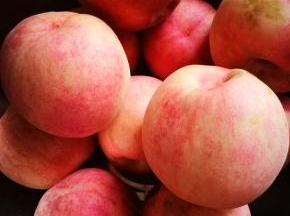 我的是陕西脆桃