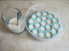 牛奶装入冰格，放冰箱冷冻。