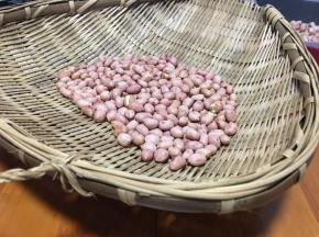 取出来晾凉一下。