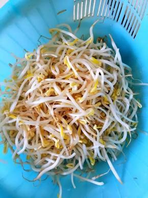 绿豆芽冲洗干净
