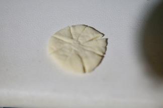 再取另一个面团，擀圆，用剪刀剪八刀，如图所示