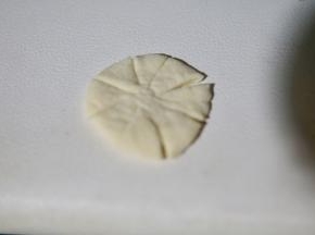 再取另一个面团，擀圆，用剪刀剪八刀，如图所示