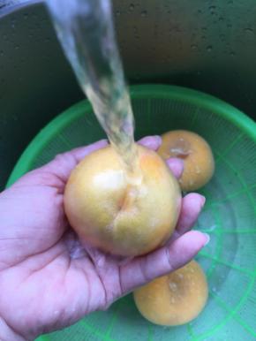 2.将黄桃外皮洗净；