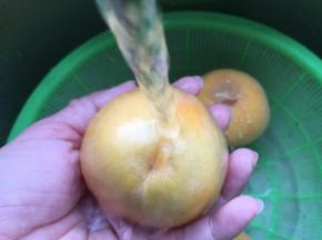 2.将黄桃外皮洗净；