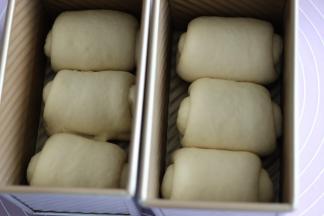 放入土司盒里，密封发酵 （室温28度约55分钟）。
