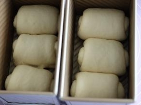 放入土司盒里，密封发酵 （室温28度约55分钟）。