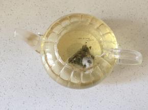 茉莉花茶包浸泡