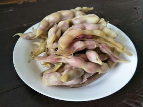 红豆荚来凑个热闹。直接清水煮的。也是新鲜采摘的有机红豆荚。