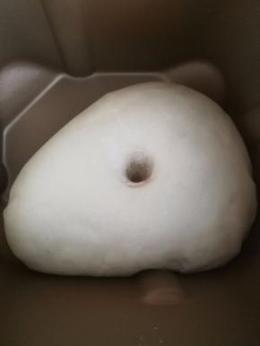 3.揉好的面团直接在面包机中发酵到两倍大。