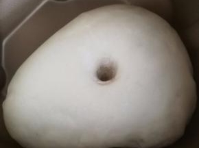 3.揉好的面团直接在面包机中发酵到两倍大。
