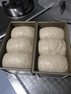 发酵八分满，加盖送入提前预热好的烤箱中下层175 度上下火45 分钟。