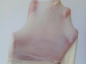 面团揉至能拉出大片的薄膜