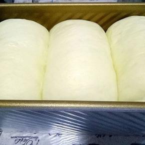 发酵至八分满，盖上盖子，烤箱180°预热6分钟