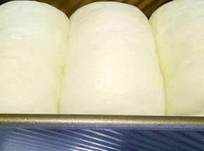 发酵至八分满，盖上盖子，烤箱180°预热6分钟