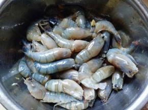 用手抓拌均匀。(盖上盖子腌制30分钟。)