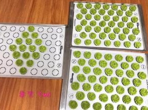 这个量大约会挤110个左右，中等大小的曲奇