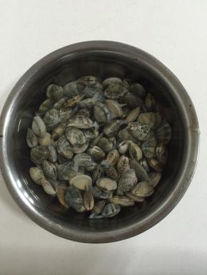花甲加盐提前在水中浸泡2小时以上，让花甲把肚子里的泥沙吐干净！（中途换几次水！）清洗干净备用。