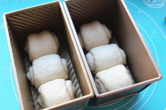 全部卷好，送进吐司模内，盖保鲜膜在温暖的地方开始二发。