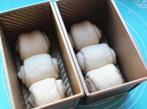 全部卷好，送进吐司模内，盖保鲜膜在温暖的地方开始二发。